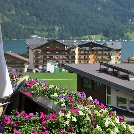 Lechner * פרטיסאו